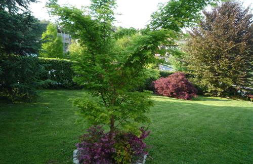 Monolocali In Casa Con Giardino Bellagio - Photo 6