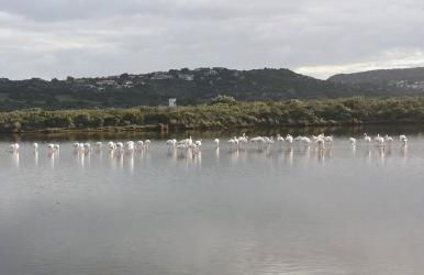 Vista Tavolara - Sardegna Holiday Apartment - Photo 61