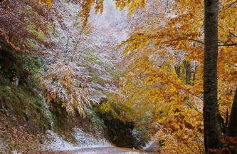 Apartamentos Rurales Casa Marcelo II - Foto 28