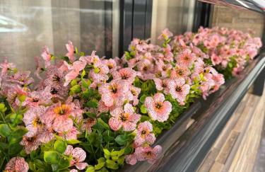 Luxe Apartment Madrid 7 paradas de Metro de Sol - Photo 32