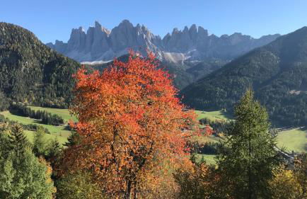 Jaiterhof - Photo 49