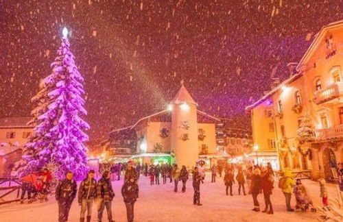 La marmotte: Vue Mont Blanc, terrasse, parking - Foto 36