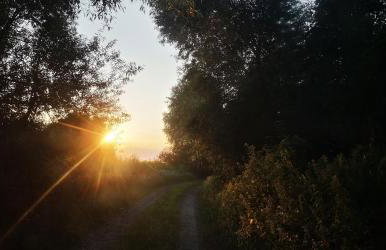 Na Chałupki - Foto 24