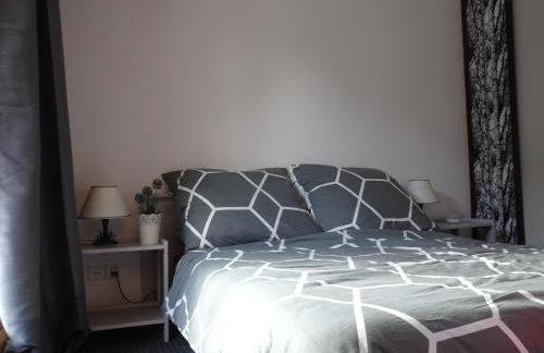 La Lonzagne - Foto 7