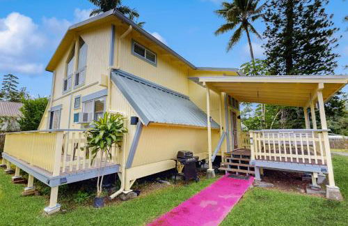 Sea Turtle Life - Photo 55