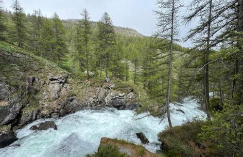 La Kaz montagne - Foto 40