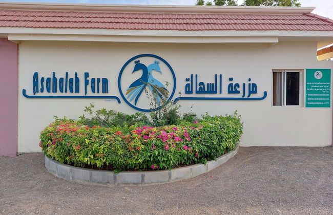 Asahalah Farm Villas - Photo 44