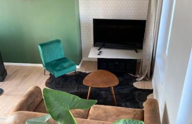 duplex proche gare vue tour Perret avec parking gratuit - Foto 6