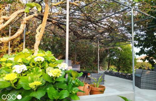 Quinta da Maria - Foto 61