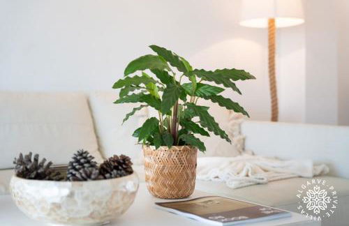 Casa Julia - Dunas Douradas - Foto 28