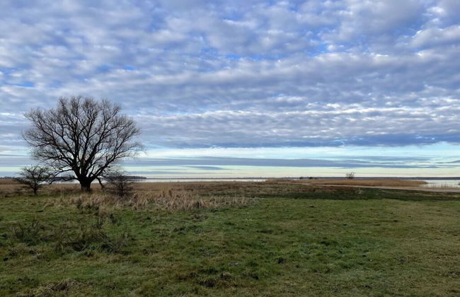 Holiday Home Crane's Nest - Foto 21