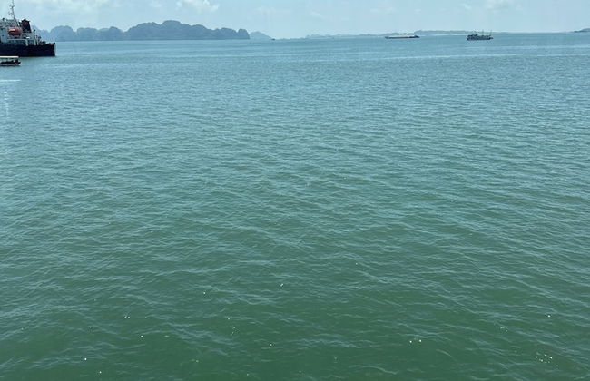 halong marina bay cruise - Foto 22