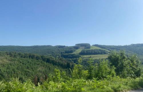 Ostalon de Sénégats - Foto 54