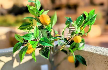 I love Marina Greenwich, Altea - Photo 34