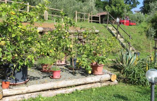 Appartamenti l'Olivo - Foto 10