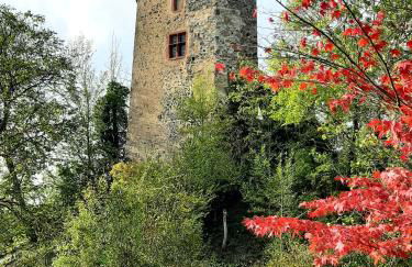 Ferienwohnung "Am Blauwasser" mit Infrarotkabine - Foto 28