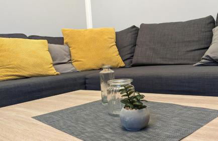 Ostfriesland für Familie und Haustier - Foto 2