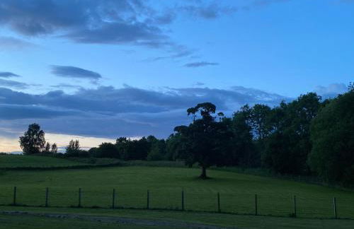 Wee Kirkhill - Photo 38