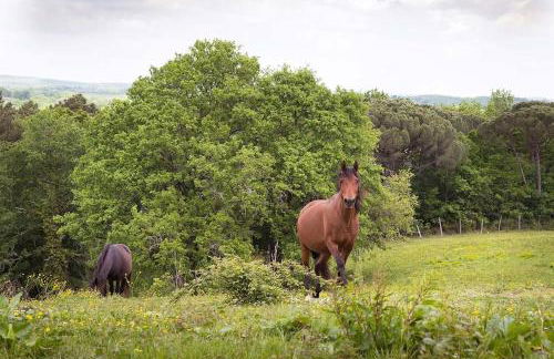 Villa dans le Périgord - Foto 51