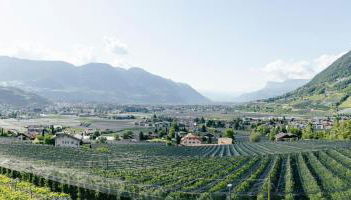 Hofer am Bach - Foto 4