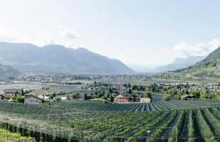 Hofer am Bach - Foto 4