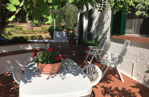 Villa Il Carrubo - Basilicata - Foto 78