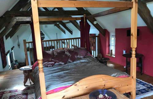 Ysgubor y Tanybryn The barn with a view and a spa. - Photo 20