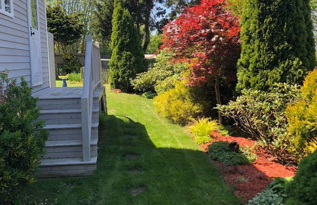 All New Beautiful Priscilla Beach House Ocean View - Foto 53