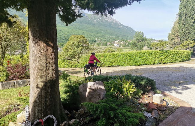 La Tavernola Agriturismo - Tenuta Mandia - Foto 22