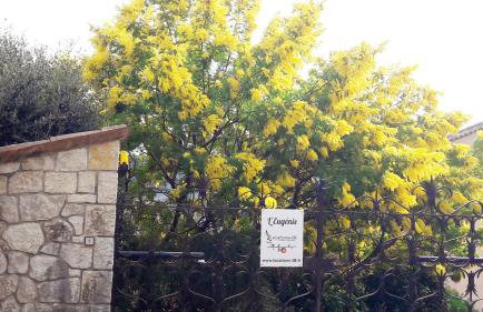 Registered Accomodation 4 stars and 30mn Nice Cannes Antibes - Foto 5