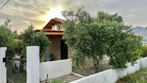 Elia Home - Foto 3, Garden, Garden view