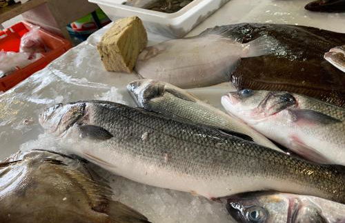 West coast dream Nazare - Foto 43