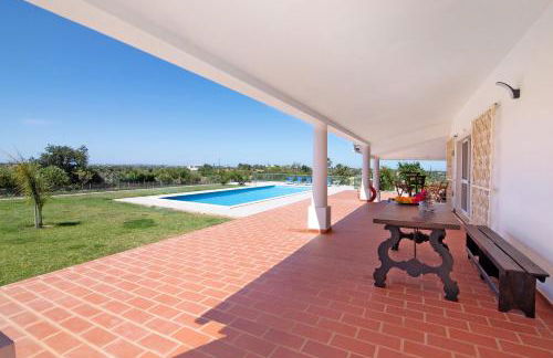 Monte do Pataco - Foto 30