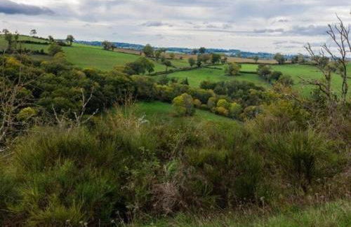 Cottage in Auvergne Near Cascade Gour - Foto 58