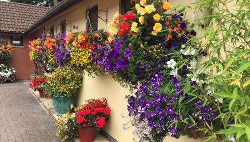 The Court Yard Apartment - Foto 4