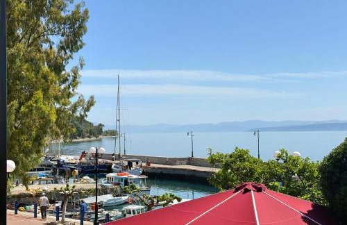 Villa Nikolas Limni - Photo 35