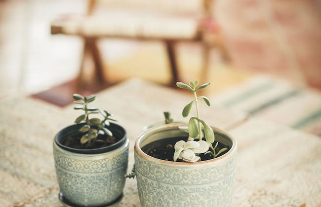 Vale Pisco - Photo 55