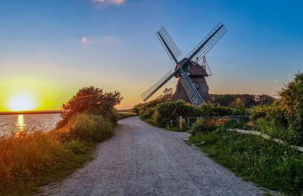 Fischerstern - Foto 15