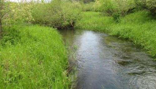 Newton Creek Cabin - Foto 2