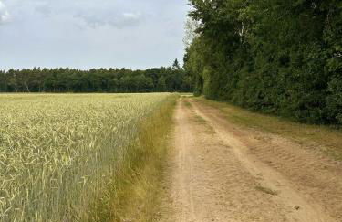 Tiny House mit Saunafass im Wendland - Foto 20