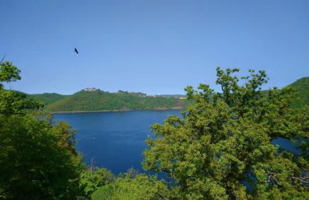 Ferienhaus Scheerer - Foto 20