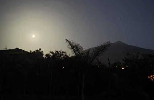 Vivaldi Summer - Foto 39