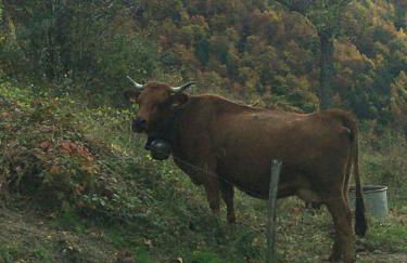 Appart st François longchamp - Photo 6