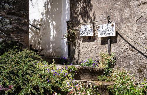 Gulls Rest - Charming Cottage in the heart of historic Dartmouth - Foto 23