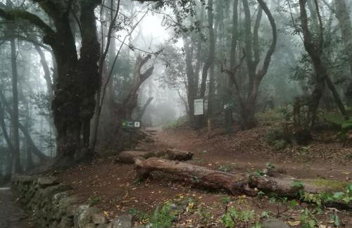 Casa Rural Finca la Maleza - Foto 61