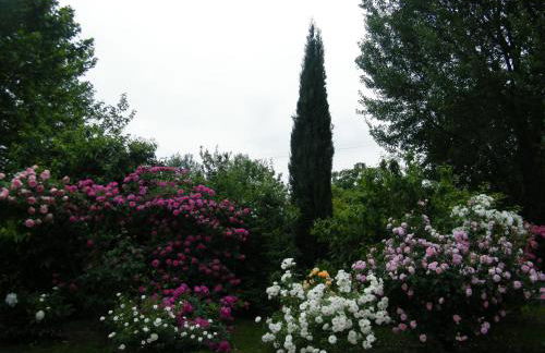 Il nido di rondine - Photo 27