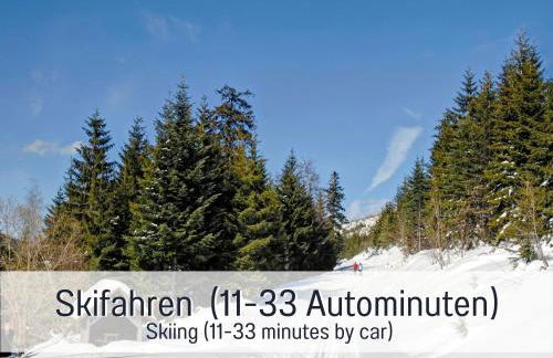 Schindelhäusle: sonniger Garten | Hunde erlaubt - Foto 68