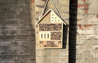 Eiderperle - Foto 16