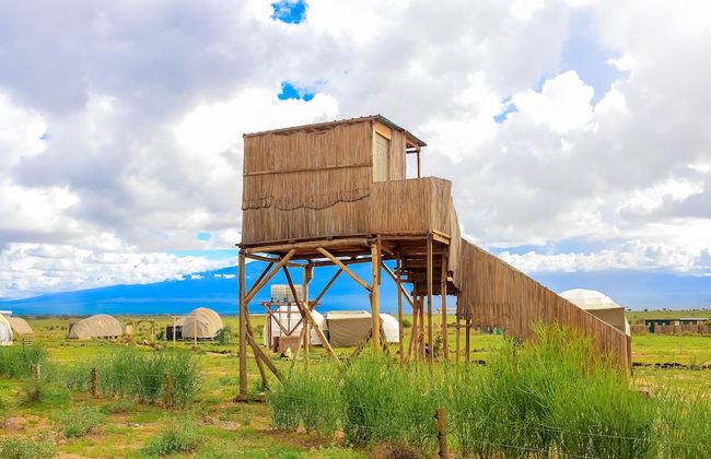 Amanya 2 Rooms Girraffe Family Tent - Foto 40