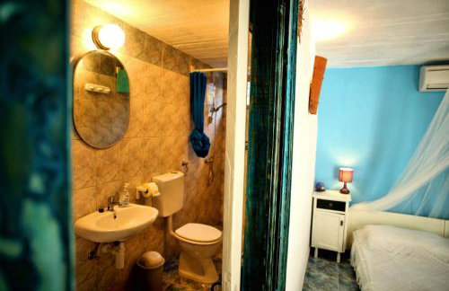 Tvrdic Honey - Photo 55